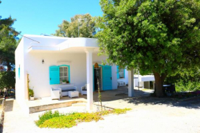 Villa Maria in Puglia con pineta vicino al mare